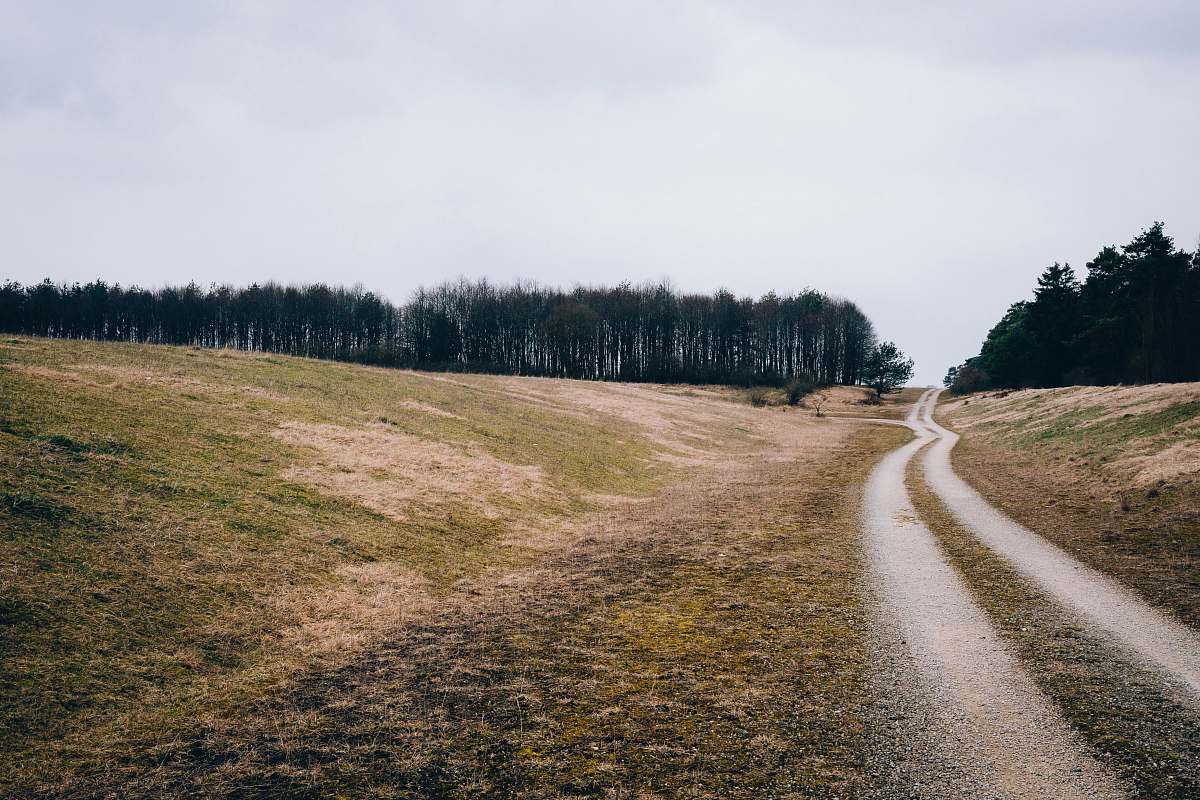 dirt road pathway between green grass road
